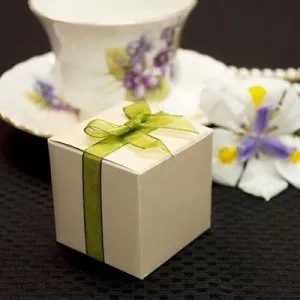 10 Ivory Square Favor Boxes 2" Gift Box