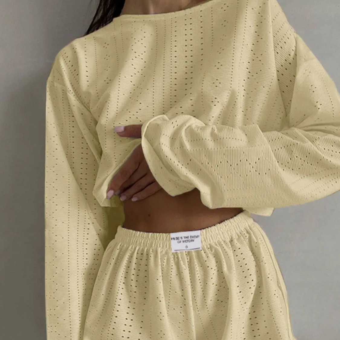 Eyelet Round Neck Top and Shorts Set