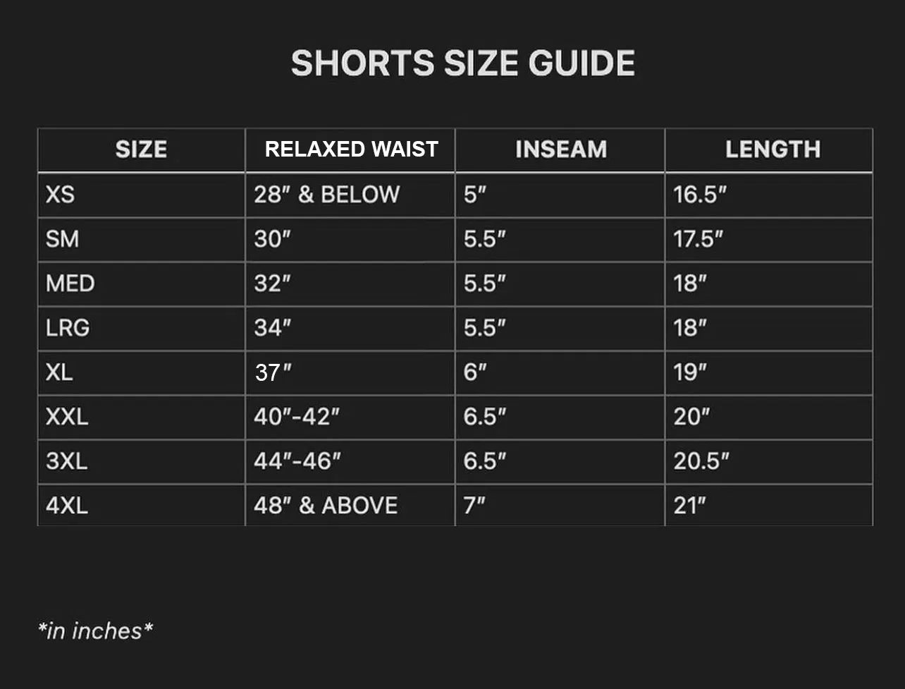 ICE COLD ZIG ZAG Mesh Shorts (Sign up to be notified)