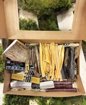Medium Puppy Box