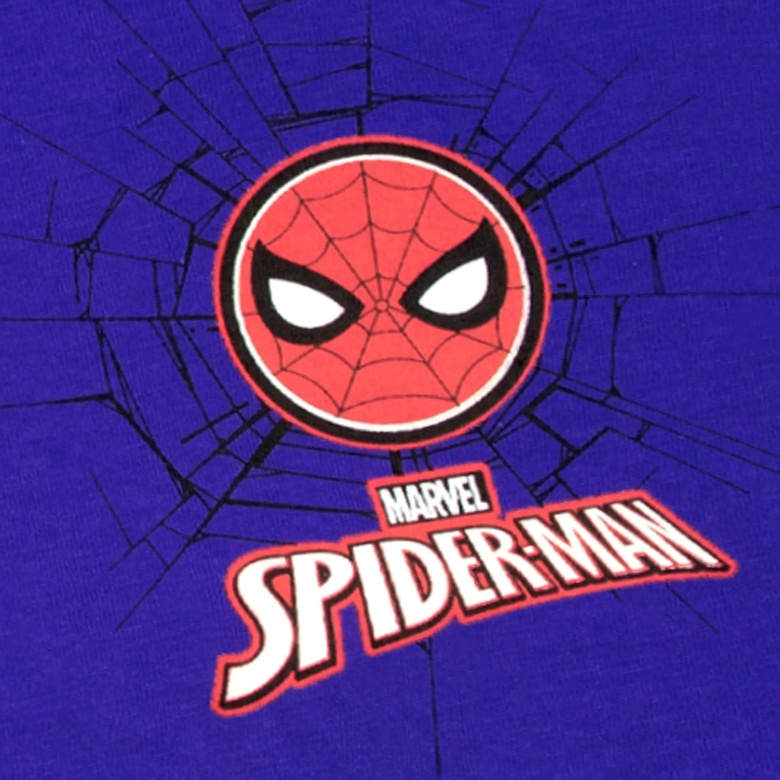 Spiderman T-Shirt & Shorts Set