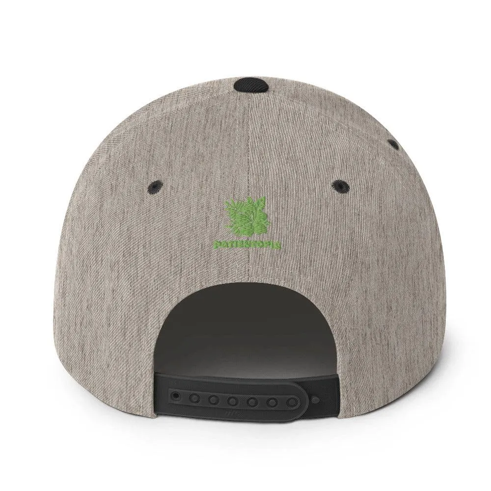 “The Logo” Snapback Cap