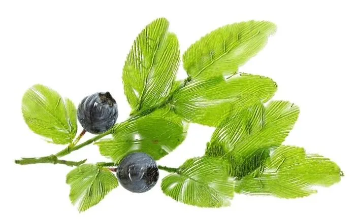 Value pack - Organic pH Balancing Facial Toner